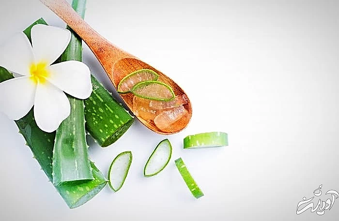 ساخت ماسک موی طبیعی در خانه ماسک مو آلوئه ورا